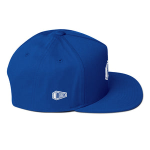 DMD Logo Flat Bill Cap - DMD Worldwide