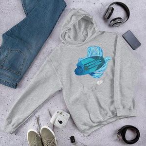 Blue Wrasse Plume Hooded Sweatshirt - DMD Worldwide